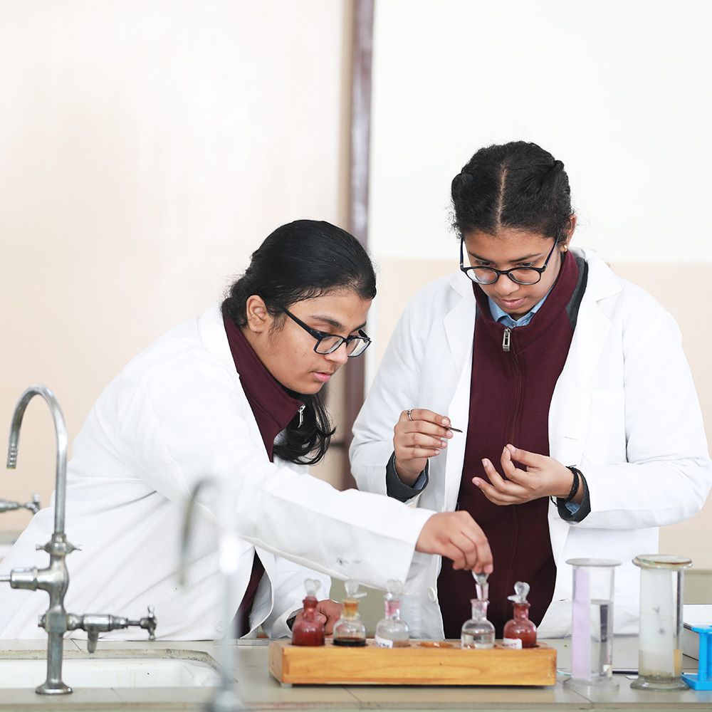 Cambridge - Best CBSE School in Noida - Image 9