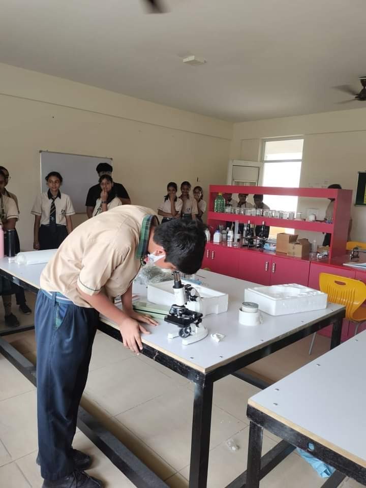 Sheoran International School - Image 5
