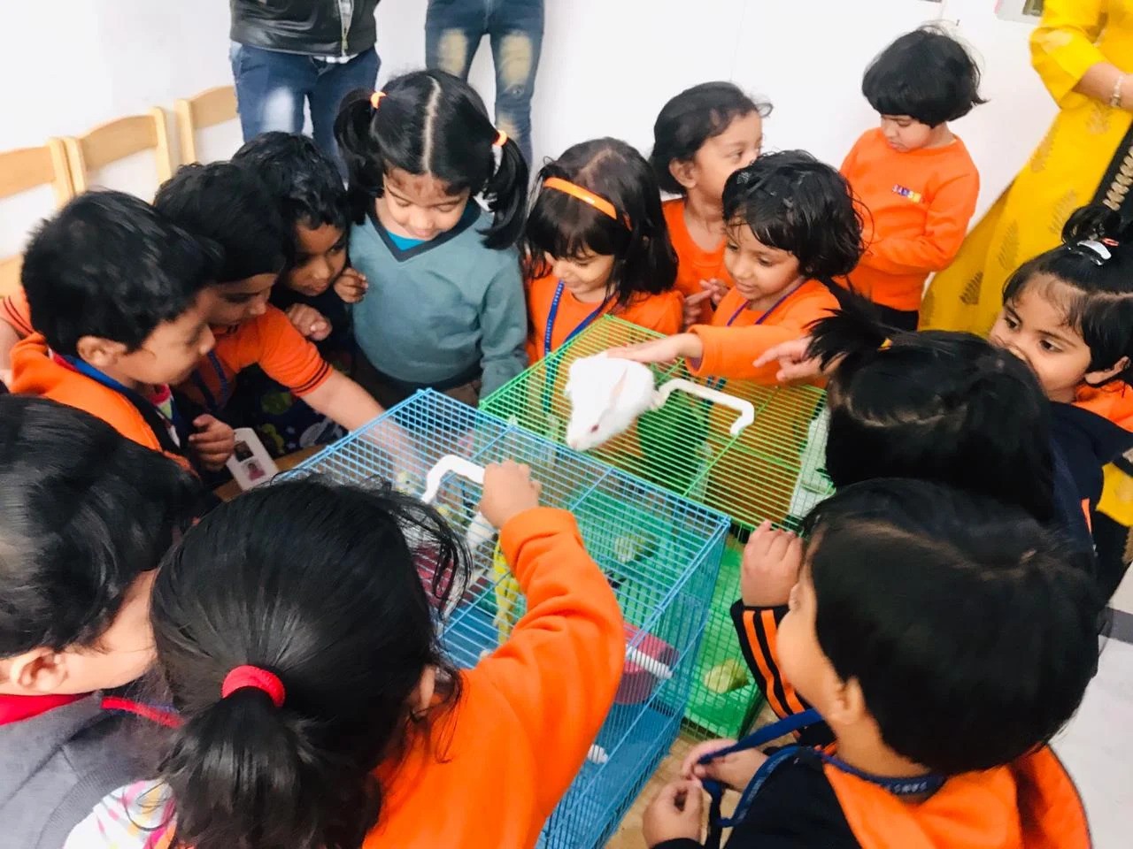 Sanskar Pre School & Day care - Image 6