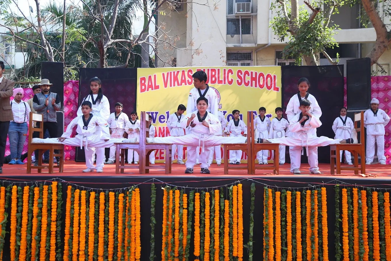 Bal Vikas Public School